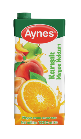 AYNES 1 LT KARIŞIK NEKTARI 12 ADET