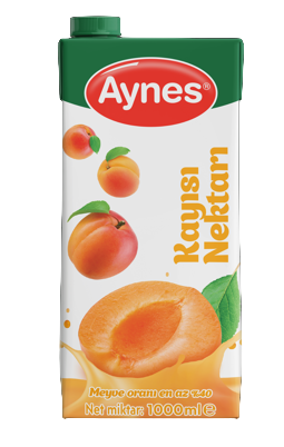 AYNES 1 LT KAYISI NEKTARI  12 ADET