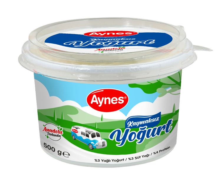 AYNES 500 GR KAYMAKSIZ YOĞURT 