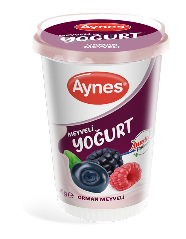 AYNES 500 GR MEYVELİ YOĞURT ORMAN MEYVELİ 12 ADET