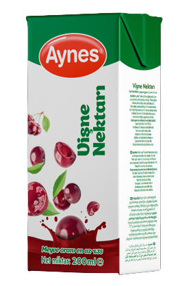 AYNES 200 ML VİŞNE NEKTARI 27 ADET