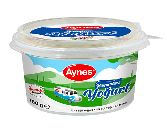 AYNES 750 GR KAYMAKSIZ YOĞURT 9 ADET