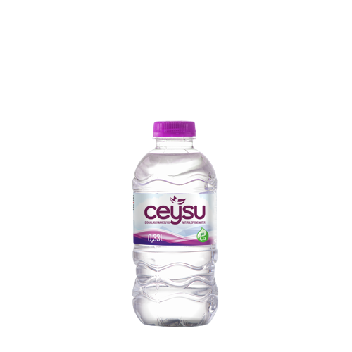 CEYSU PET ŞİŞE 0,33 LT 12 ADET