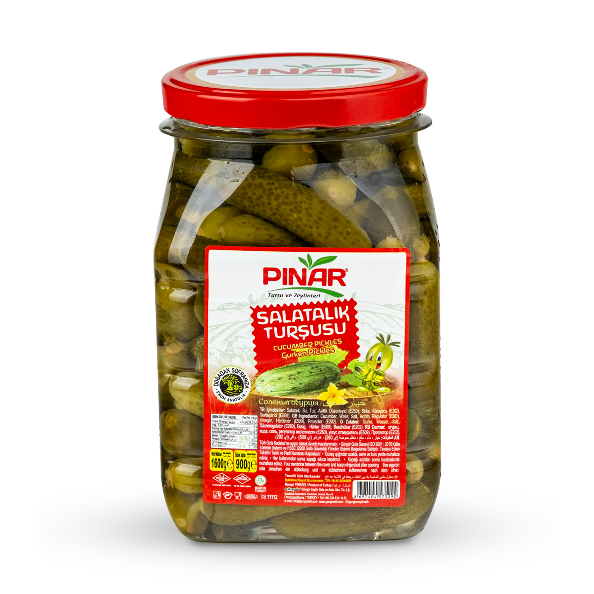 PINAR 1600 cc PET 1 NO SALATALIK TURŞUSU 900 GR