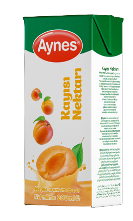 AYNES 200 ML KAYISI NEKTARI 27 ADET