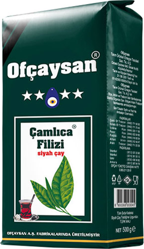 OFÇAYSAN ÇAMLICA FİLİZİ 500 GR 24 ADET