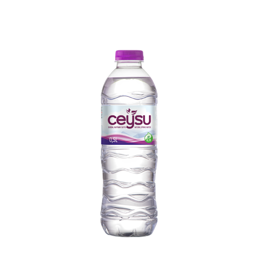 CEYSU PET ŞİŞE 0,50 LT 24 ADET